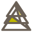 Arauco
